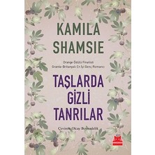 Kırmızı Kedi Yayınevi Taşlarda Gizli Tanrılar