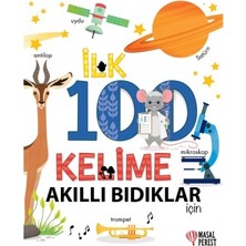 Masalperest Ilk 100 Kelime Akıllı Bıdıklar Için (Ciltli)
