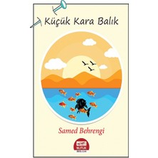 Ayata Kitap Küçük Kara Balık