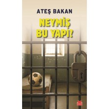 Kırmızı Kedi Yayınevi Neymiş Bu Yapı?