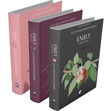 Cem Yayınevi Rüzgarın Kızı Emily Serisi (3 Kitap)