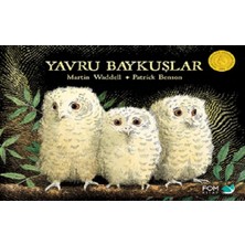 Fom Kitap Yavru Baykuşlar