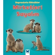 Mavi Kelebek Yayınları Mirketleri Sayalım