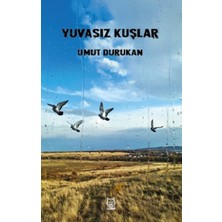 Luna Yayınları Yuvasız Kuşlar