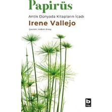 Bilgi Yayınevi Papirüs