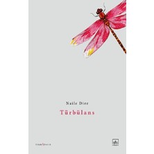 İthaki Yayınları Türbülans