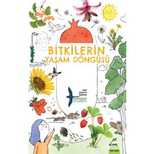 Elma Çocuk Bitkilerin Yaşam Döngüsü