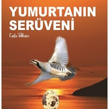 Kitap72 Yayınları Yumurtanın Serüveni