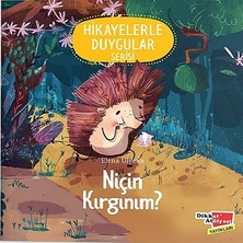 Dikkat Atölyesi Yayınları Niçin Kırgınım ? - Hikayelerle Duygular Serisi