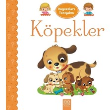 1001 Çiçek Kitaplar Hayvanları Tanıyalım - Köpekler