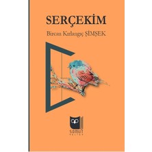 Somut Yayınları Serçekim
