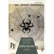 Everest Yayınları Örümcek Ağı