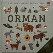Uçan Fil Yayınları Say Bul Eğlen Orman (Ciltli)