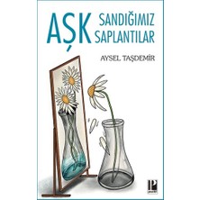Pozitif Yayınları Aşk Sandığımız Saplantılar