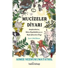 Babil Kitap Mucizeler Diyarı: Ateşböceklerine, Balina Köpekbalıklarına ve Başka Şahanelere Övgü