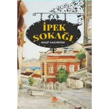 Meriç Yayınları Ipek Sokağı