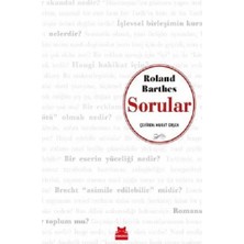 Kırmızı Kedi Yayınevi Sorular