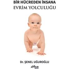 Bir Hücreden Insana Evrim Yolculuğu