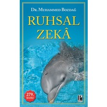 Pozitif Yayınları Ruhsal Zeka