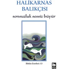 Bilgi Yayınevi Halikarnas Balıkçısı - Sonsuzluk Sessiz Büyür Bütün Eserleri 13