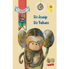 ODTÜ Geliştirme Vakfı Yayıncılık Bir Aşağı Bir Yukarı