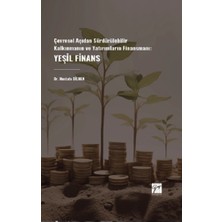 Gazi Kitabevi Çevresel Açıdan Sürdürülebilir Kalkınmanın ve Yatırımların Finansmanı: Yeşil Finans