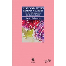 Ayrıntı Yayınları Spinoza'nın Sevinci Nereden Geliyor?