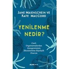 Alfa Yayınları Yenilenme Nedir?