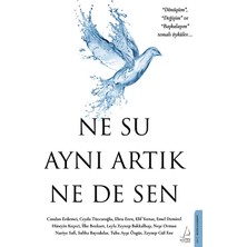 Destek Yayınları Ne Su Aynı Artık Ne De Sen