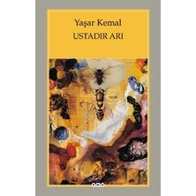 Yapı Kredi Yayınları Ustadır Arı