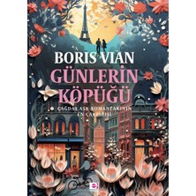 E Yayınları Günlerin Köpüğü