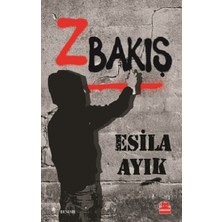Kırmızı Kedi Yayınevi Z Bakış