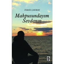 Karınca Yayınları Mahpusundayım Sevdanın
