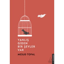 Destek Yayınları Yanlış Giden Bir Şeyler Var