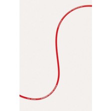 Jaguar Kitap Kanını Satan Adam