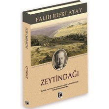 Pozitif Yayınları Zeytindağı (Ciltli-Özel Baskı)