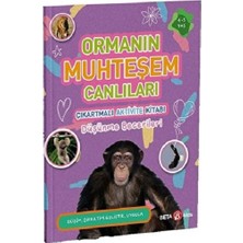 Beta Kids Ormanın Muhteşem Canlıları Çıkartmalı Aktivite Kitabı Düşünme Becerileri
