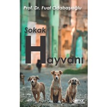 Gülnar Yayınları Sokak Hayvanı