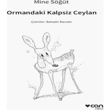Mixora Ormandaki Kalpsiz Ceylan