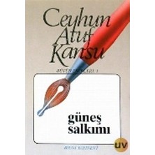 Bilgi Yayınevi Güneş Salkımı Bütün Eserleri 1