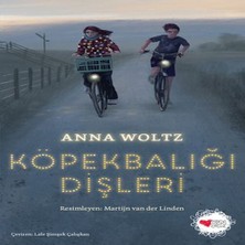 Mixora Köpekbalığı Dişleri