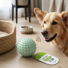 Hediye Bahçesi Sesli Dikenli Evcil Hayvan Oyuncak Topu