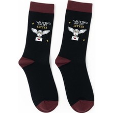 Sihir Dükkanı Harry Potter Hedwig Çorap