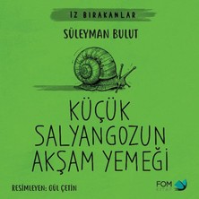 Colezium Kum Midyesinin Daalı Yolculuğu