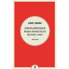 Zeplin Kitap Zincirlerimizden Başka Kaybedecek Neyimiz Var?