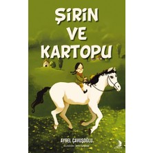 Destek Yayınları Şirin ve Kartopu