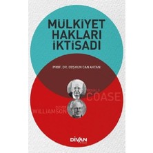 Divan Kitap Mülkiyet Hakları Iktisadı