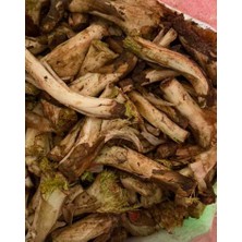 Erzurum İpek Gurme Kenger Taze 1 kg