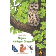 Kuraldışı Yayınevi Meşenin Muhteşem Dünyası