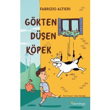 Domingo Yayınevi Gökten Düşen Köpek